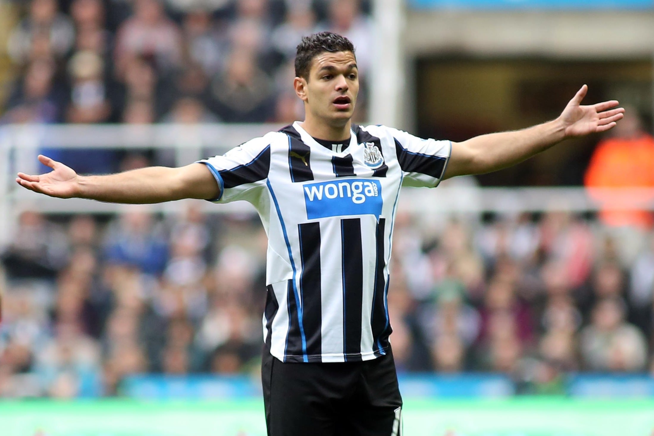 Αποτέλεσμα εικόνας για ben arfa newcastle