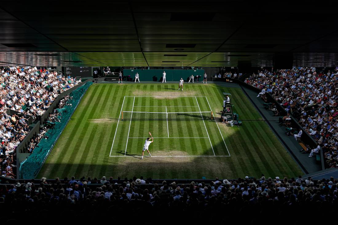 wimbledon final2 novibet