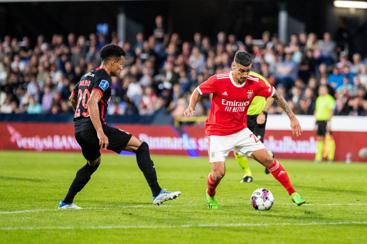 dynamokiev benfica3 17082022 novibet