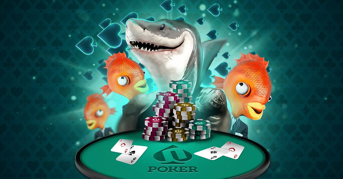 lexiko poker novibet casino