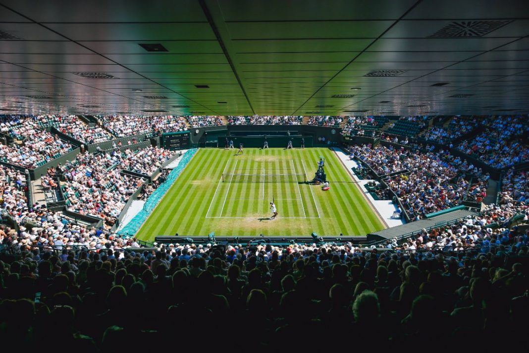 wimbledon novibet