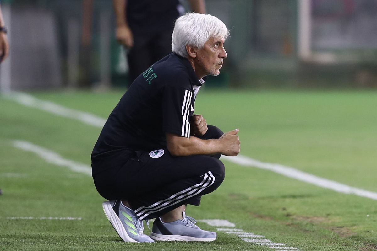 jovanovic pao novibet