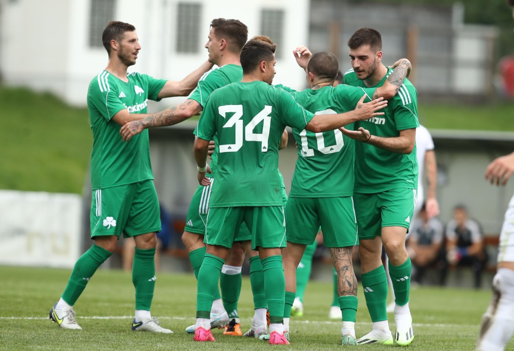 panathnaikos petrolul prognostika