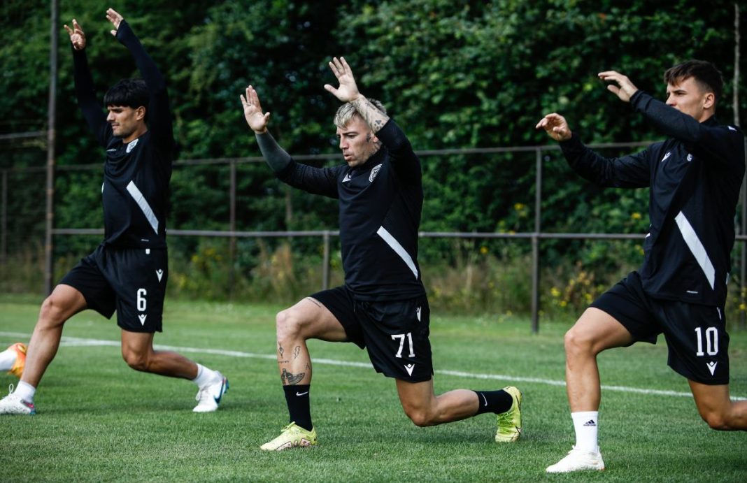 steaua paok prognostika novibet