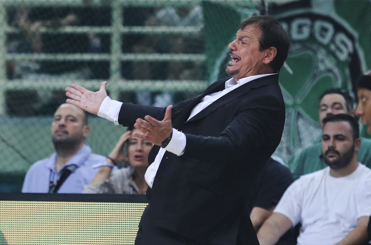ataman panathinaikos novibet