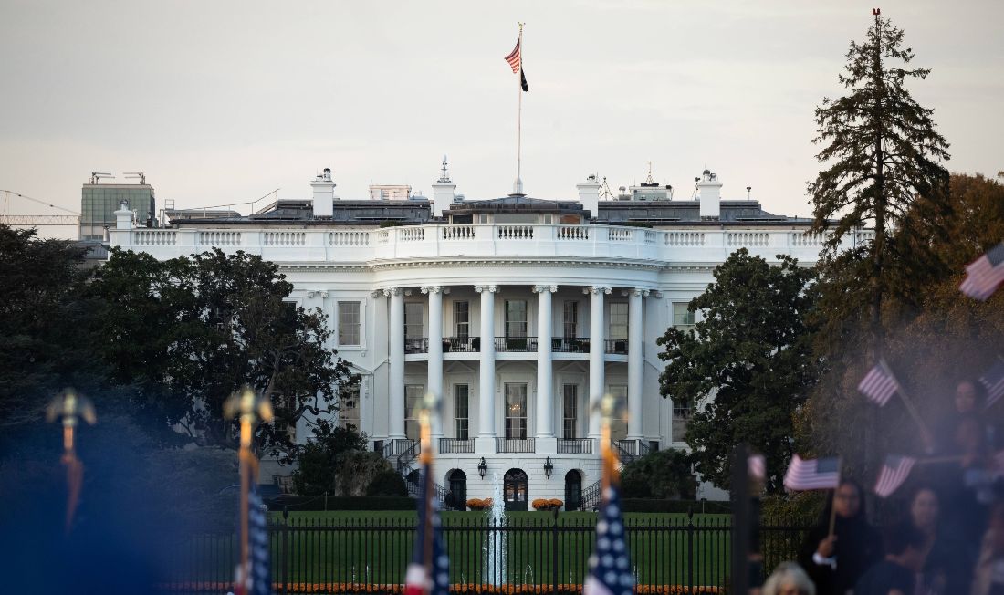 white house novibet