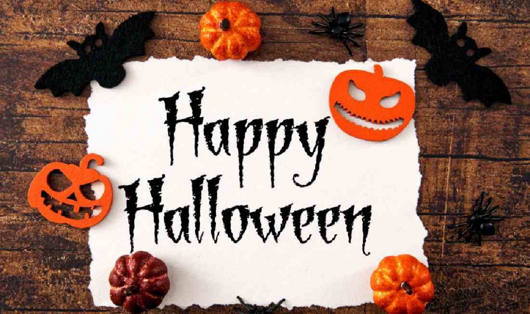 novibet casino halloween