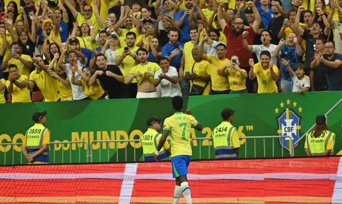 Vinicious Brazil